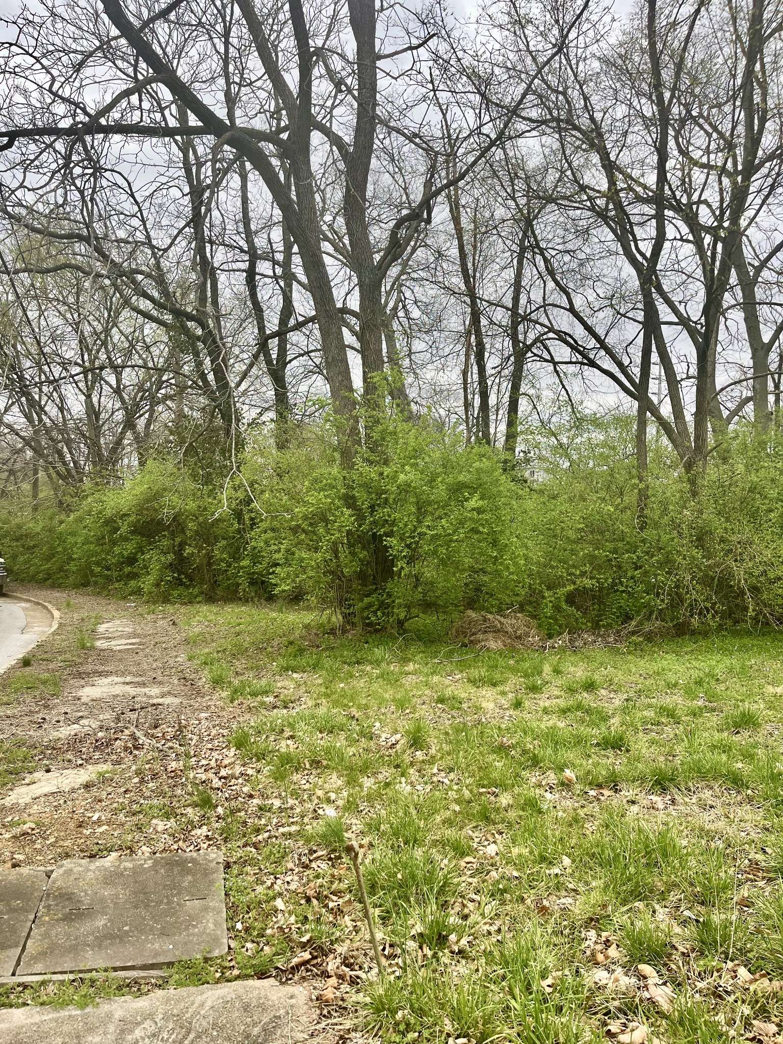 Nashville, TN 37208,1717 Delta Ave