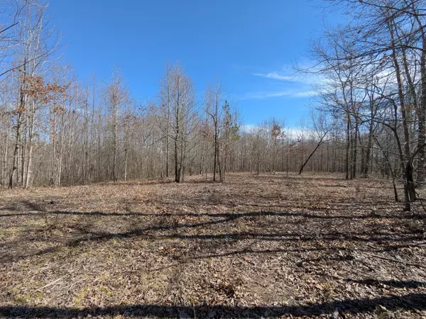 Mount Pleasant, TN 38474,264 Baptist Branch Rd