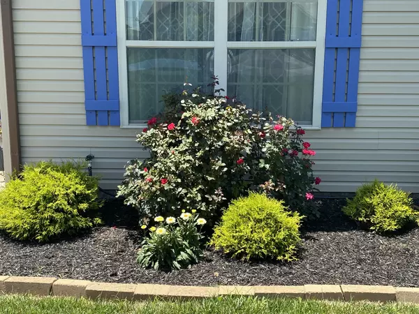 Clarksville, TN 37040,568 Tracy Ln