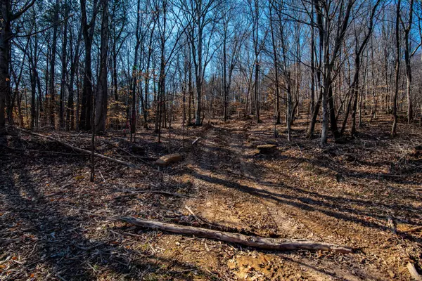Linden, TN 37096,1627 Hurricane creek