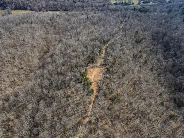 Linden, TN 37096,1627 Hurricane creek
