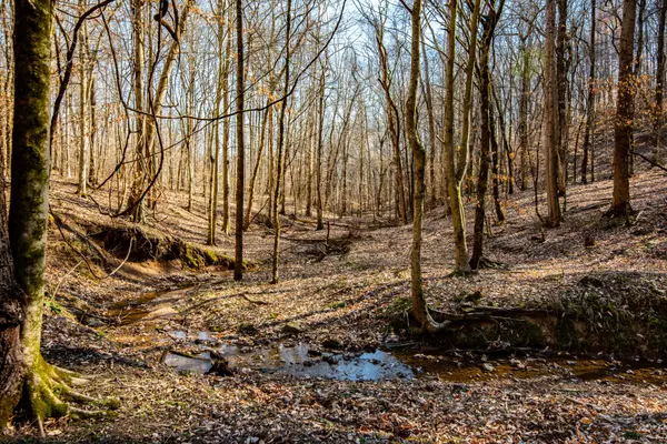 Linden, TN 37096,1627 Hurricane Creek