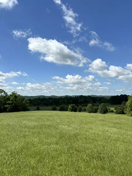 1091 Bugscuffle Rd, Wartrace, TN 37183