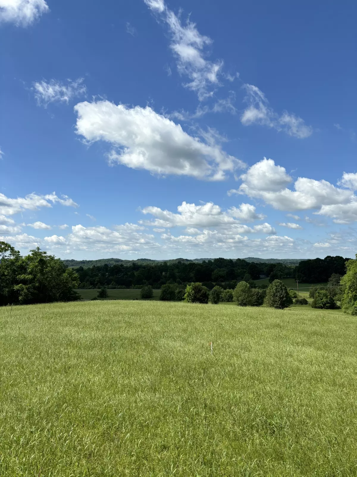 Wartrace, TN 37183,1091 Bugscuffle Rd