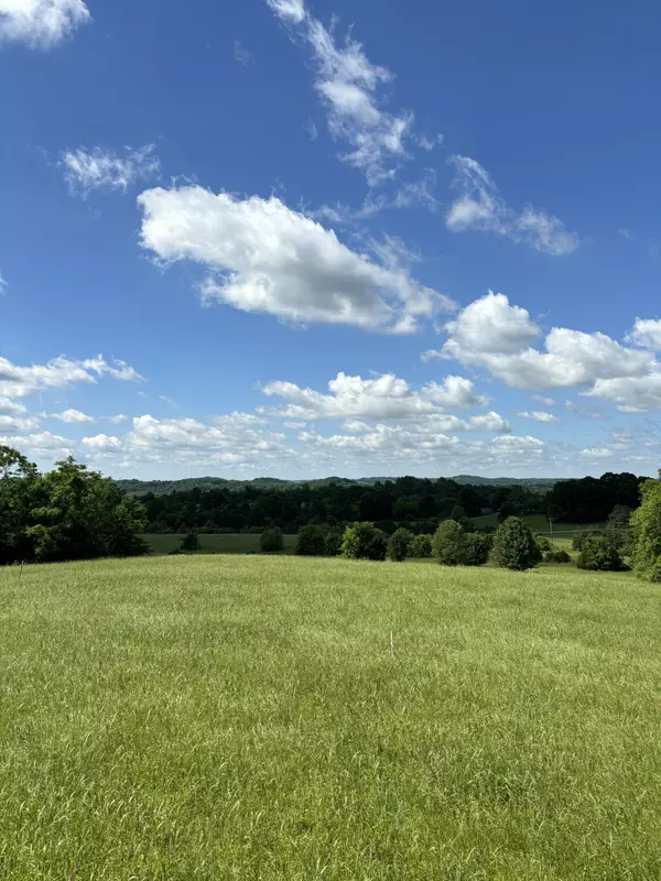 1091 Bugscuffle Rd, Wartrace, TN 37183