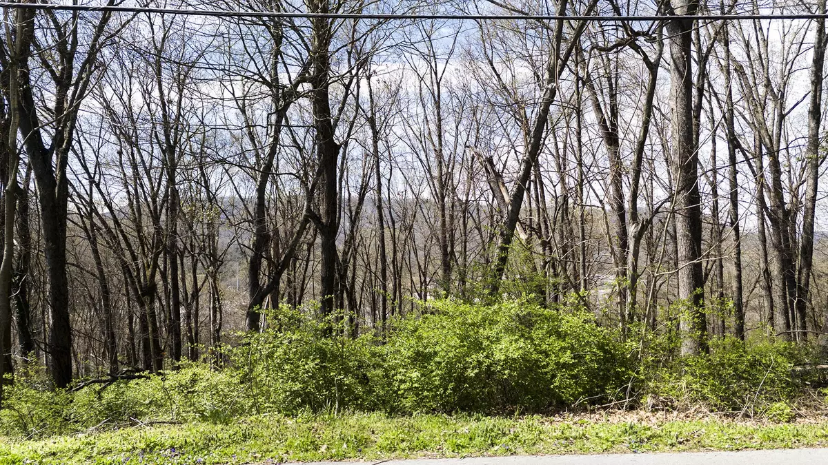 Chattanooga, TN 37405,269 Whitehall Road