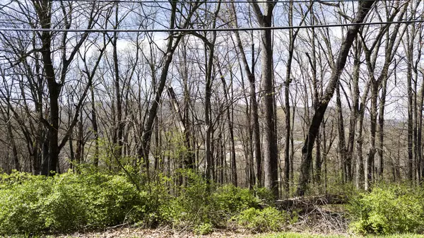 Chattanooga, TN 37405,281 Whitehall Road