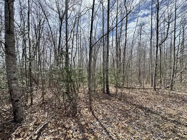 Monterey, TN 38574,290 Ridge Ln