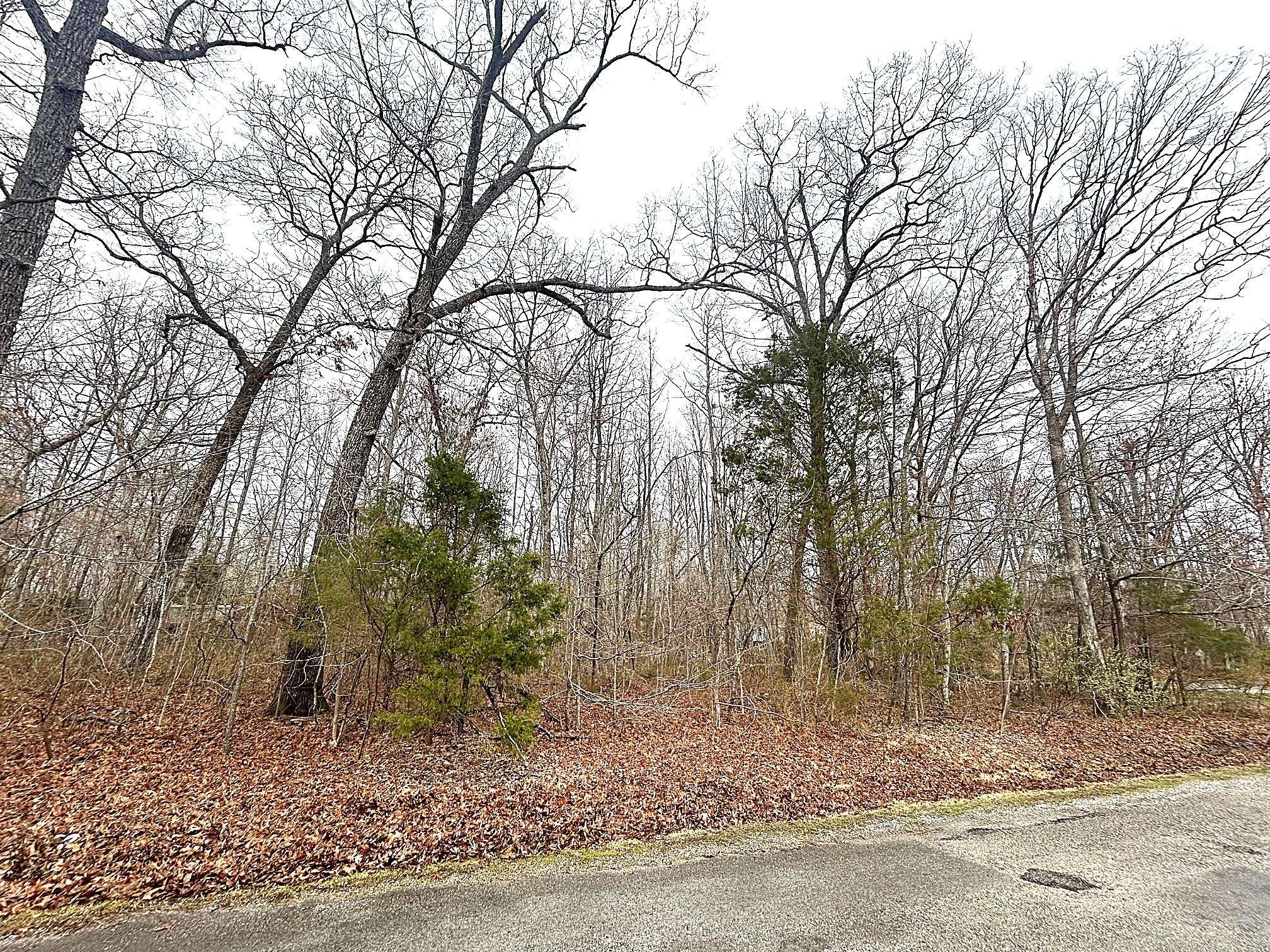 Beechgrove, TN 37018,0 Lakeshore Dr