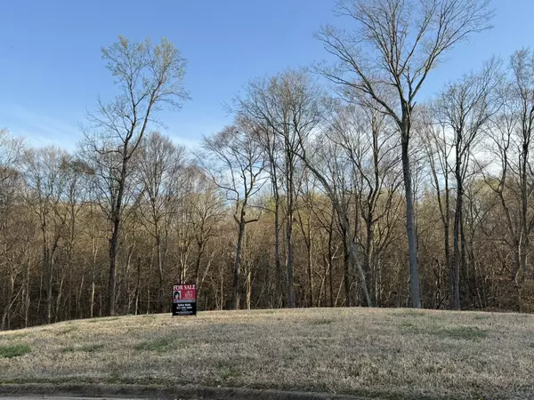 Clarksville, TN 37043,156 Enclave At The Villa