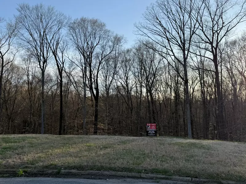 168 Steeple Ridge Way, Clarksville, TN 37043