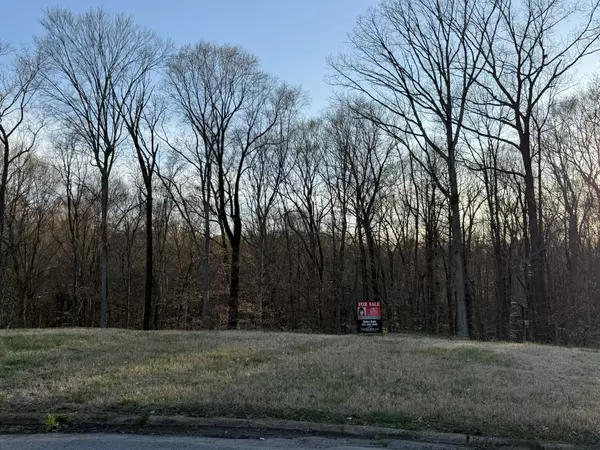 Clarksville, TN 37043,168 Steeple Ridge Way