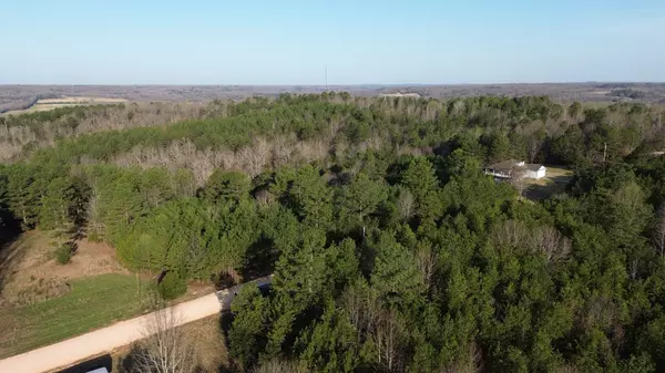 Bath Springs, TN 38311,0 Bridge View Cv
