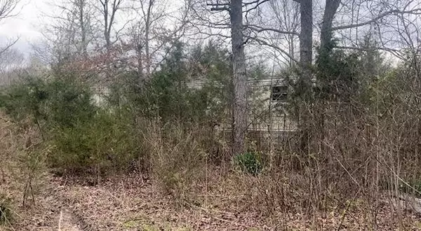 Watertown, TN 37184,353 Trammel Ln