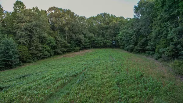 Dickson, TN 37055,1651 Yellow Creek