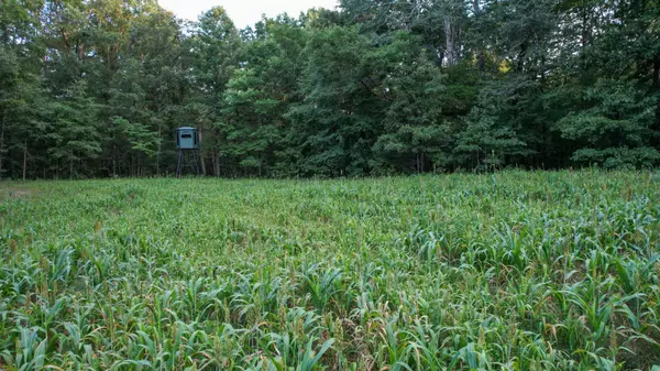 Dickson, TN 37055,1651 Yellow Creek