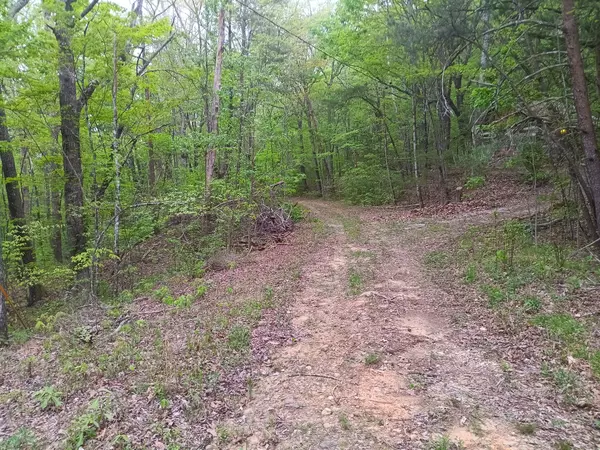 Pikeville, TN 37367,0 SR 30