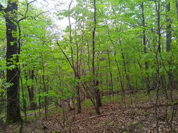 Pikeville, TN 37367,0 SR 30