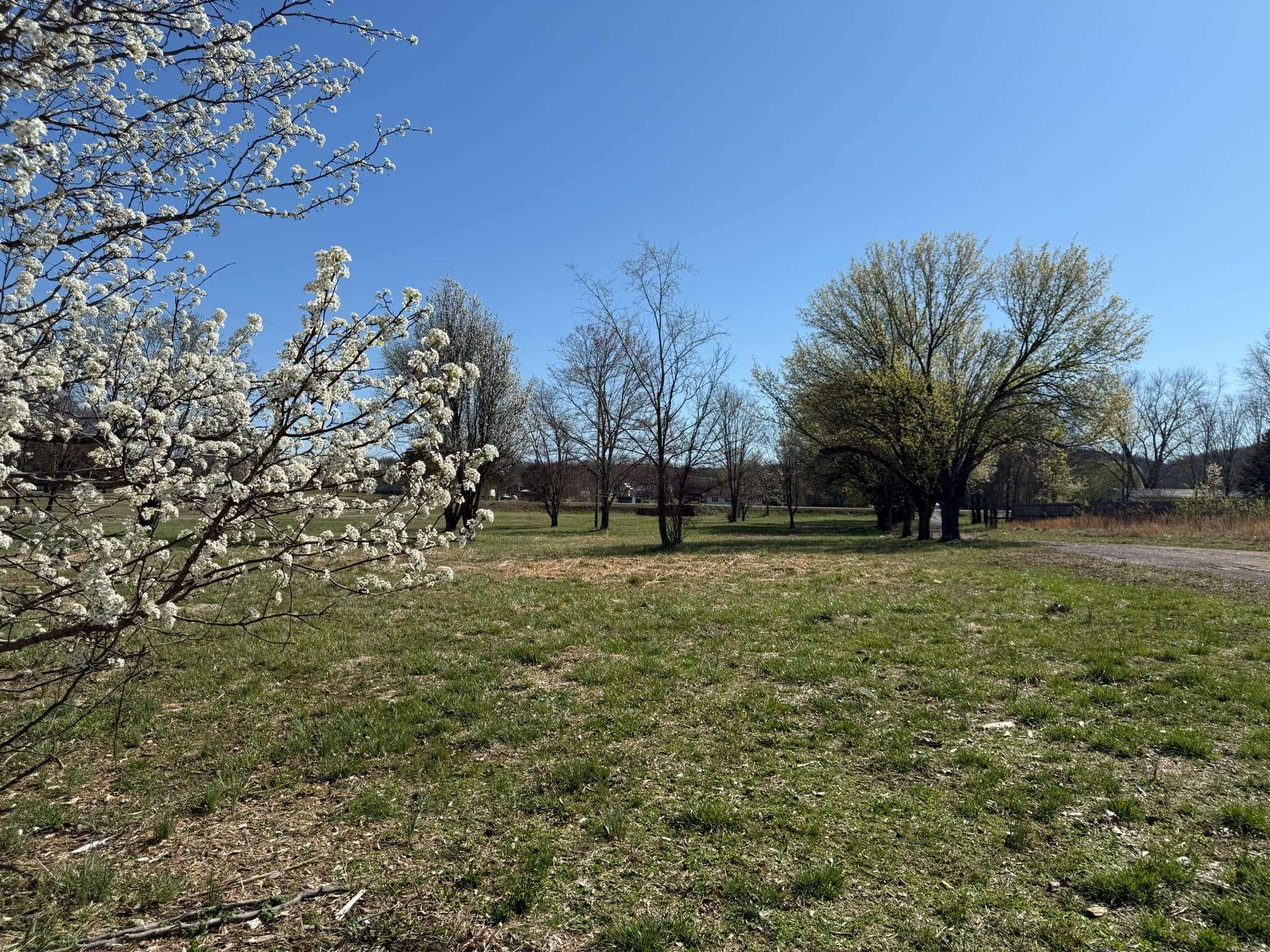 Lebanon, TN 37090,4780 Big Springs Rd