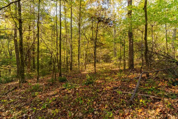 Fairview, TN 37062,0 Crow Cut Rd