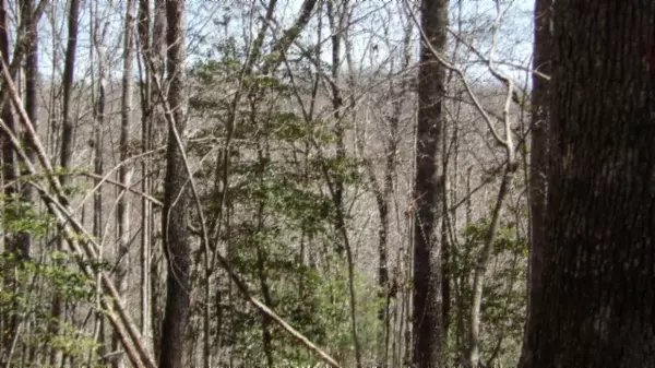 391 Ridge Rd, Lancing, TN 37770