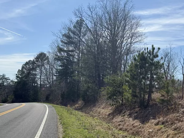 Waynesboro, TN 38485,0A Hohenwald HWY