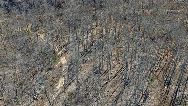 Vanleer, TN 37181,3L Oak Ridge Rd