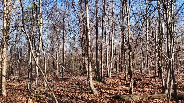 Duck River, TN 38454,0 Old Mail Road