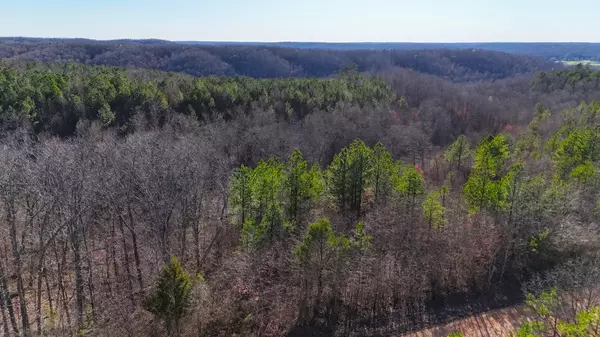 Duck River, TN 38454,0 Old Mail Road