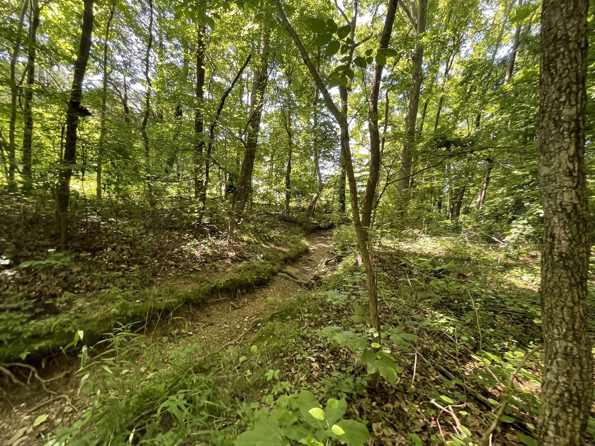 Pleasant View, TN 37146,0 Old Clarksville Pike