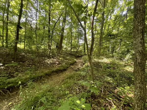Pleasant View, TN 37146,0 Old Clarksville Pike