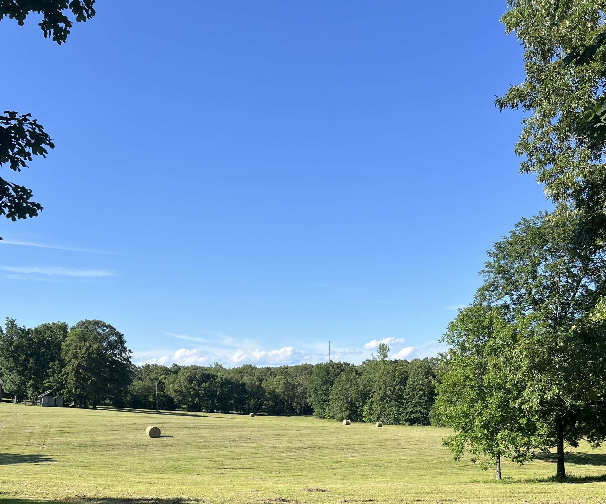 0 Shaffer Rd, Summertown, TN 38483