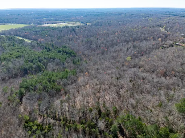 Parsons, TN 38363,0 Chester Quinn Lane