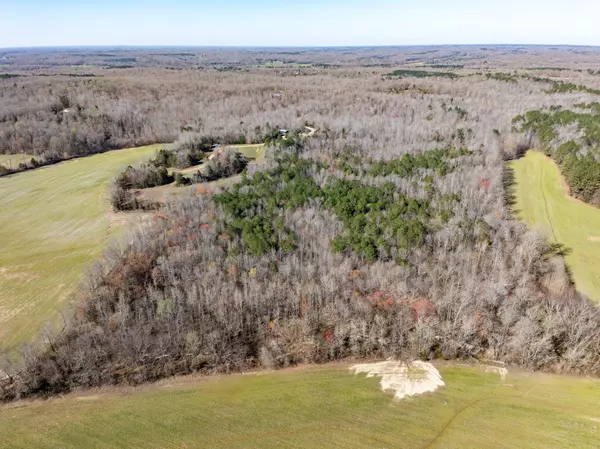 Parsons, TN 38363,0 Chester Quinn Lane