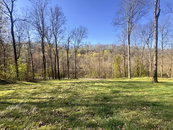Smithville, TN 37166,0 Lakeview Dr