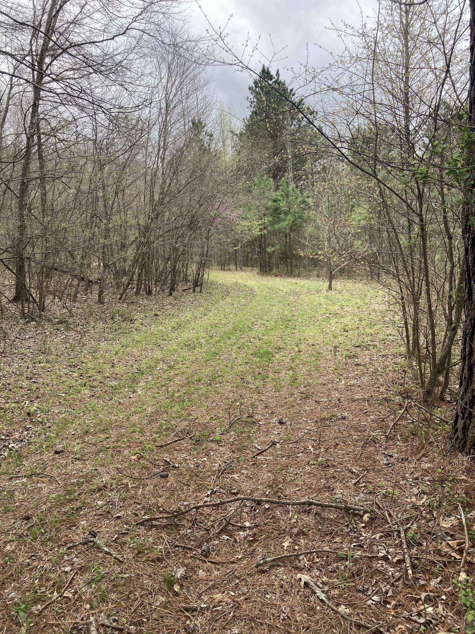 Lawrenceburg, TN 38464,646 Brush Creek Rd