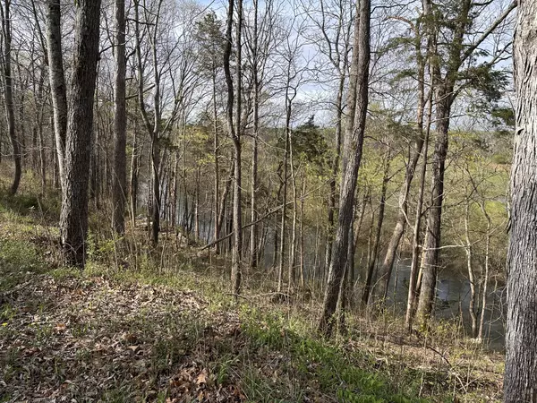 Mcminnville, TN 37110,0 Arrowhead #S