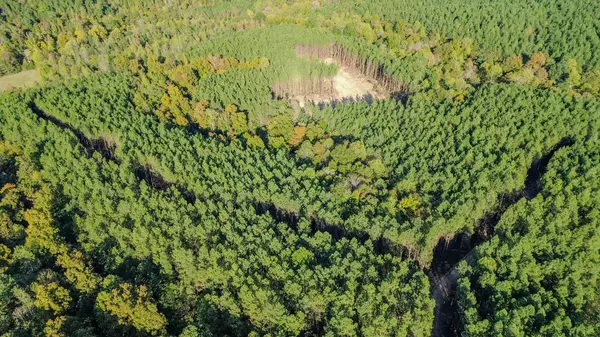 Linden, TN 37096,0 Hurricane Creek Road