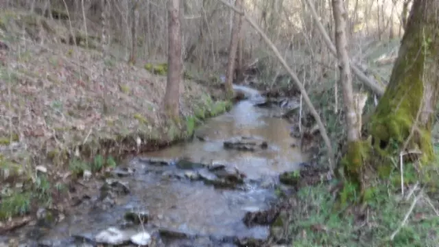 0 Sugar Creek Rd, Gainesboro, TN 38562