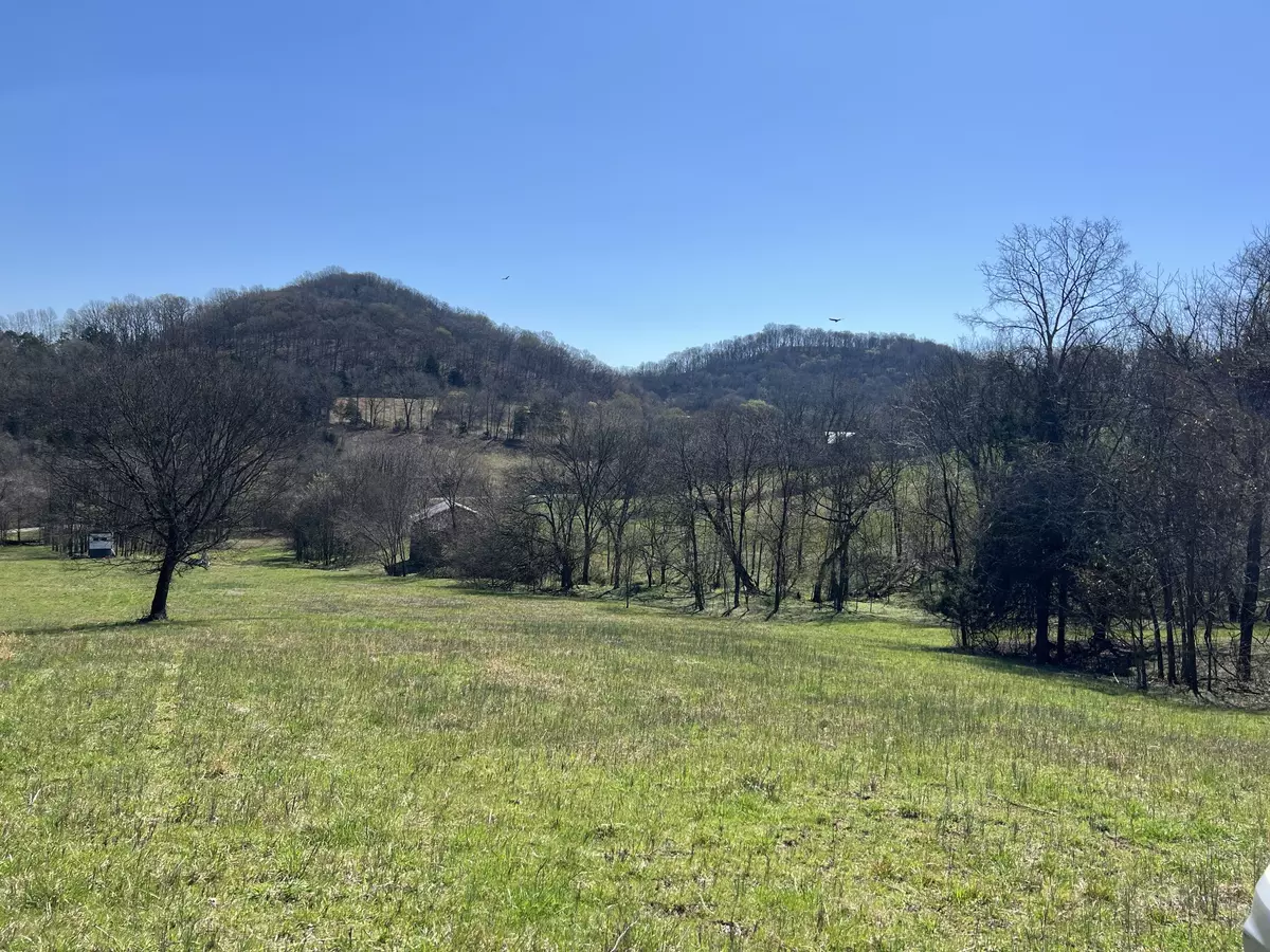 Bethpage, TN 37022,0 Hog Hollow Lane