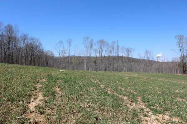 Cumberland City, TN 37050,1 Grices Creek Rd