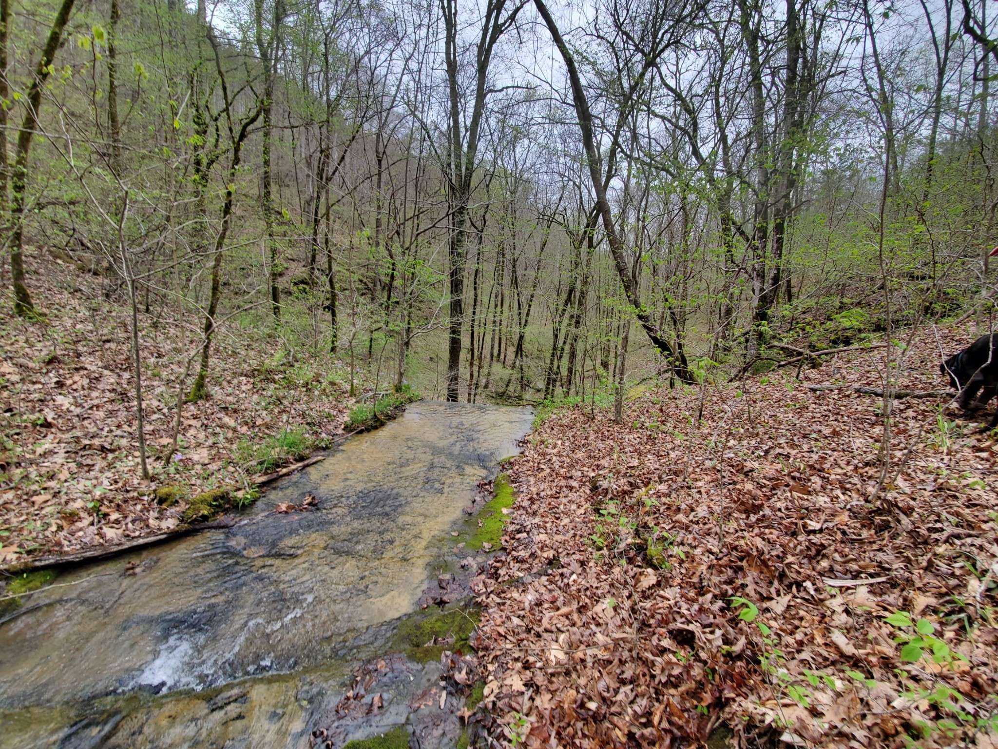 Linden, TN 37096,6004 Old Hohenwald Rd