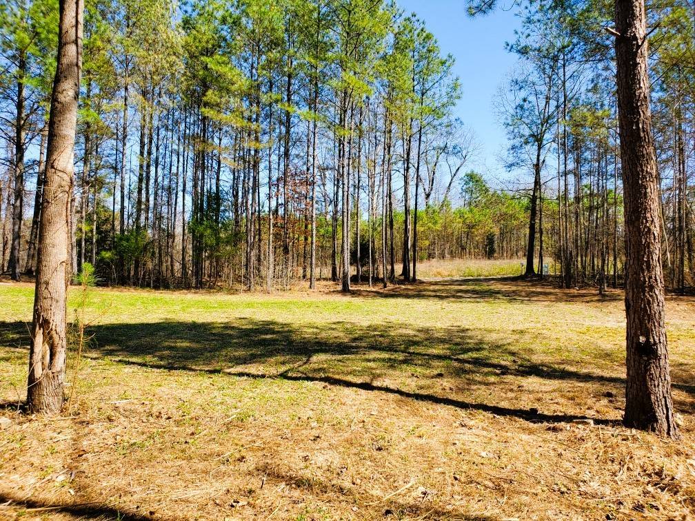 Springville, TN 38256,470 Hagler Ridge Rd