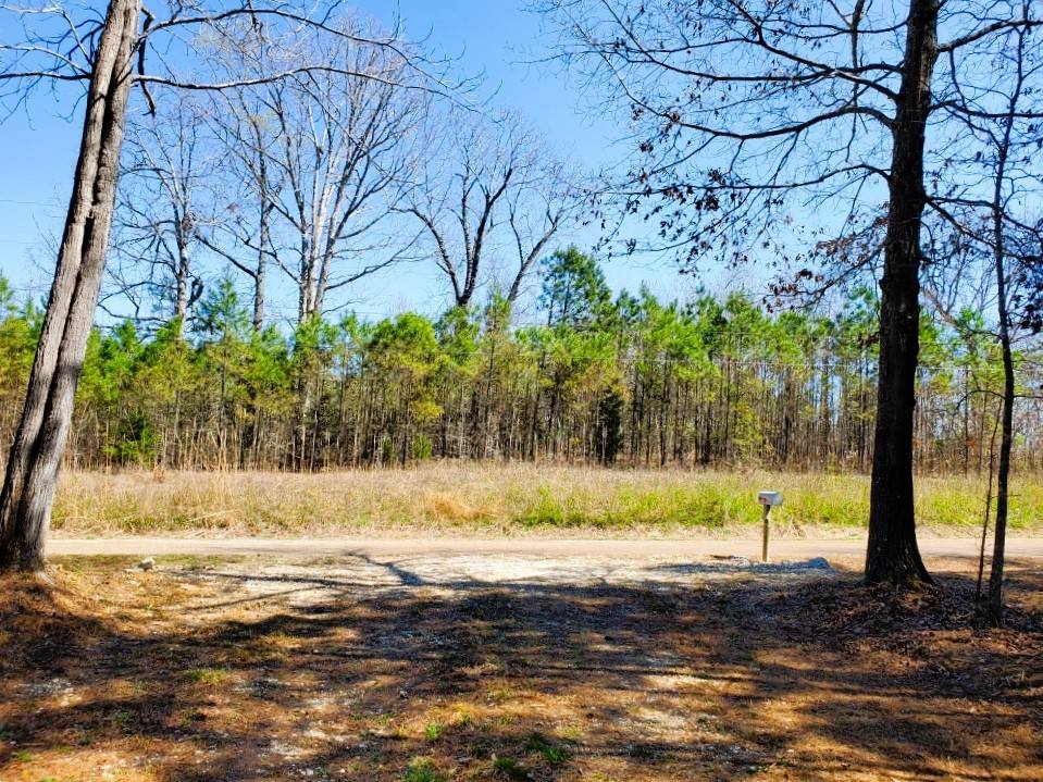 Springville, TN 38256,470 Hagler Ridge Rd