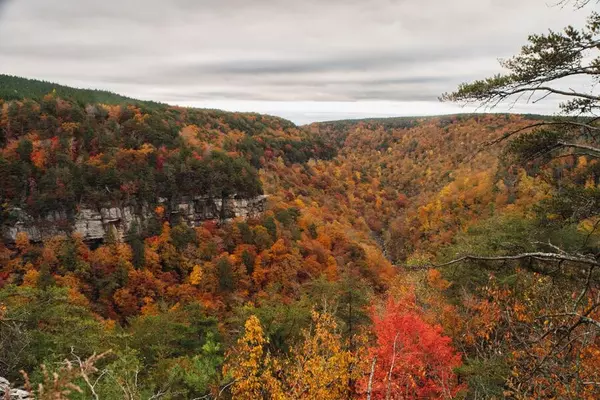 Soddy Daisy, TN 37379,0 Worley Road