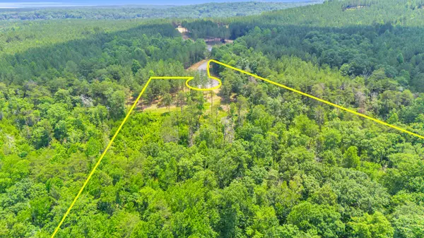 0 Worley Road, Soddy Daisy, TN 37379