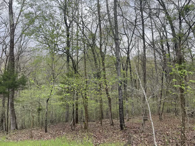 2713 Cardinal Ct, Nunnelly, TN 37137