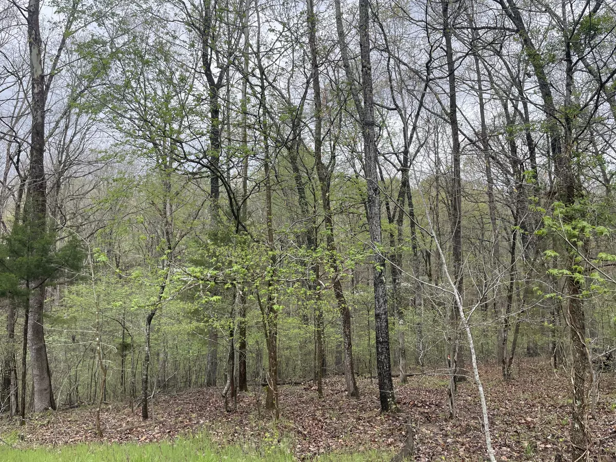 Nunnelly, TN 37137,2713 Cardinal Ct