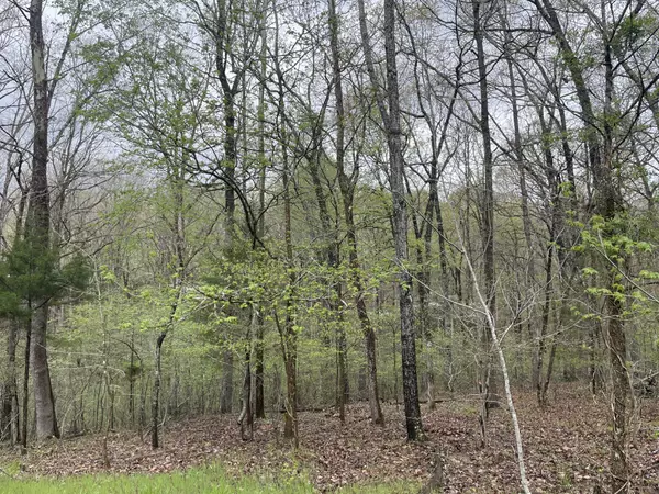 2713 Cardinal Ct, Nunnelly, TN 37137