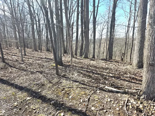 Dowelltown, TN 37059,0 Windy Cut Dr